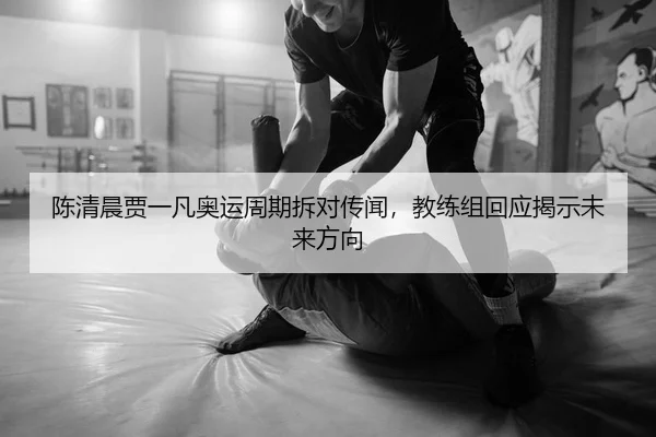 陈清晨贾一凡奥运周期拆对传闻，教练组回应揭示未来方向